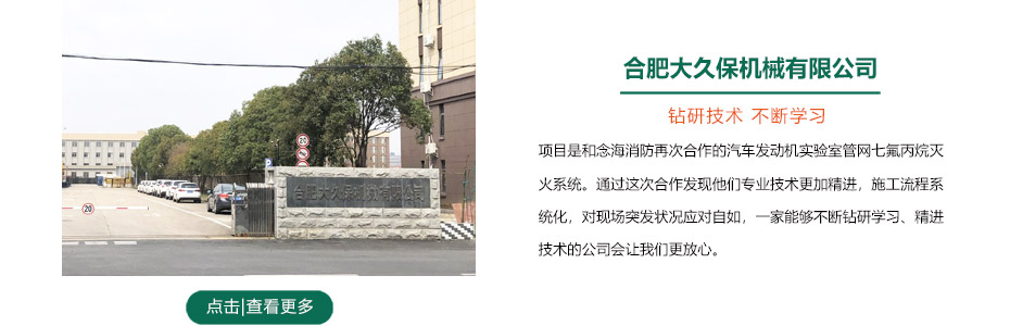 合肥大久保汽車發(fā)動機實驗室管網(wǎng)七氟丙烷滅火系統(tǒng)